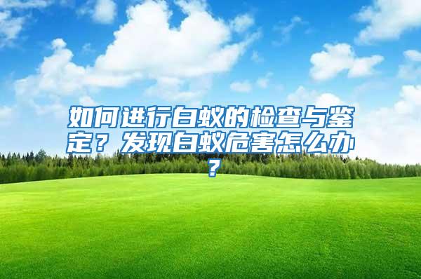 如何進行白蟻的檢查與鑒定?發現白蟻危害怎么辦?