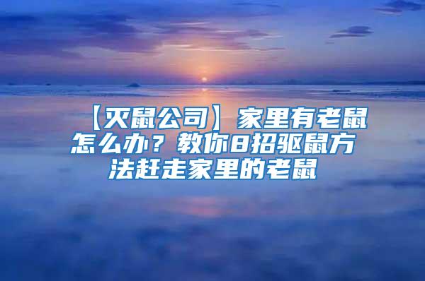 【滅鼠公司】家里有老鼠怎么辦？教你8招驅(qū)鼠方法趕走家里的老鼠