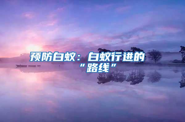 預防白蟻：白蟻行進的“路線”