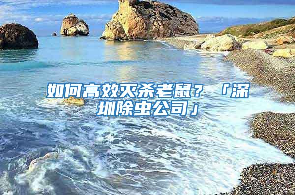 如何高效滅殺老鼠？「深圳除蟲公司」