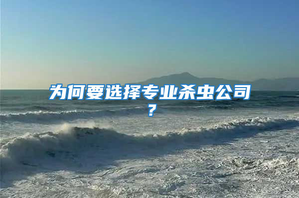 為何要選擇專業殺蟲公司？