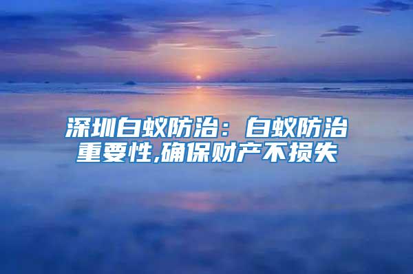 深圳白蟻防治:白蟻防治重要性,確保財產不損失
