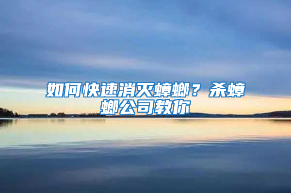 如何快速消滅蟑螂?殺蟑螂公司教你