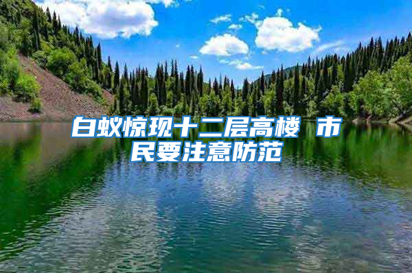 白蟻驚現(xiàn)十二層高樓 市民要注意防范