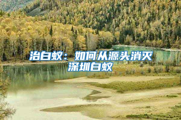 治白蟻:如何從源頭消滅深圳白蟻