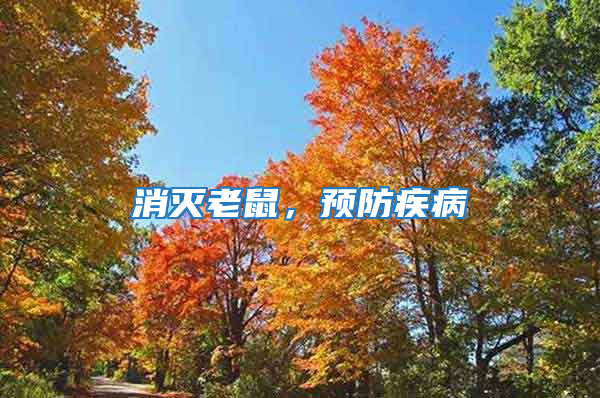 消滅老鼠,預防疾病