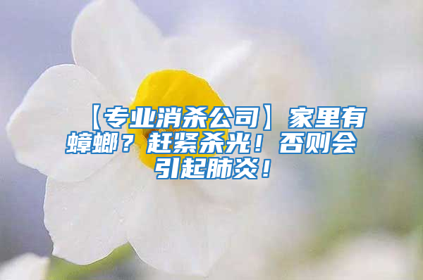 【專業消殺公司】家里有蟑螂?趕緊殺光!否則會引起肺炎!