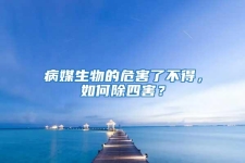 病媒生物的危害了不得，如何除四害？